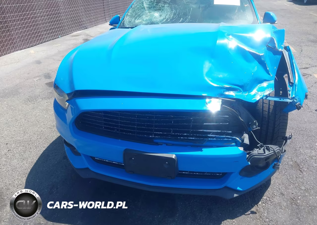 2017 Ford Mustang Ecoboost VIN:1FA6P8THXH5227061 - 17