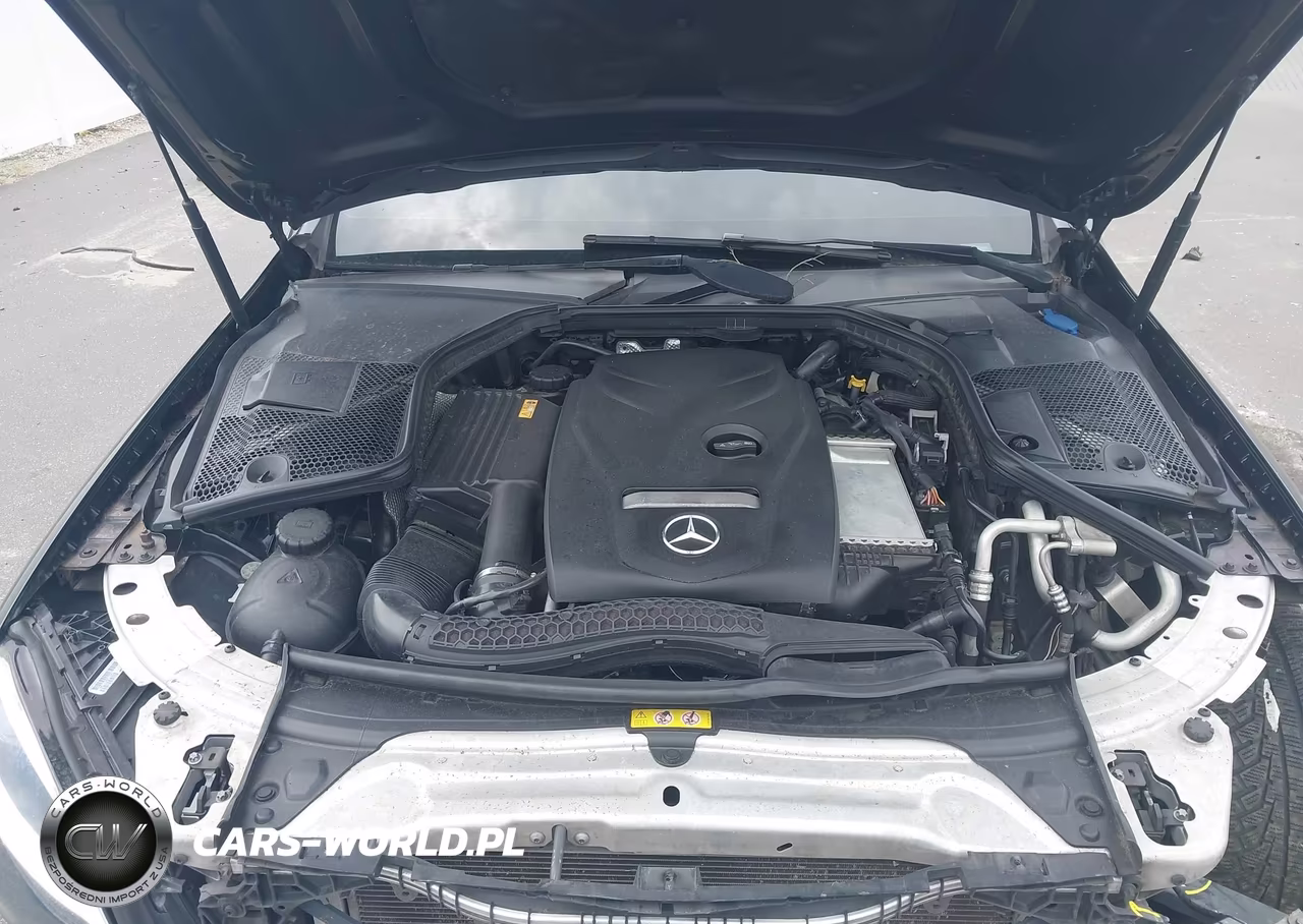 2017 Mercedes-Benz C 300 VIN:55SWF4JB6HU197350 - 10