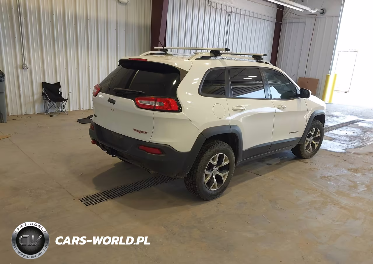 2014 Jeep Cherokee Trailhawk VIN:1C4PJMBS8EW198249 - 4