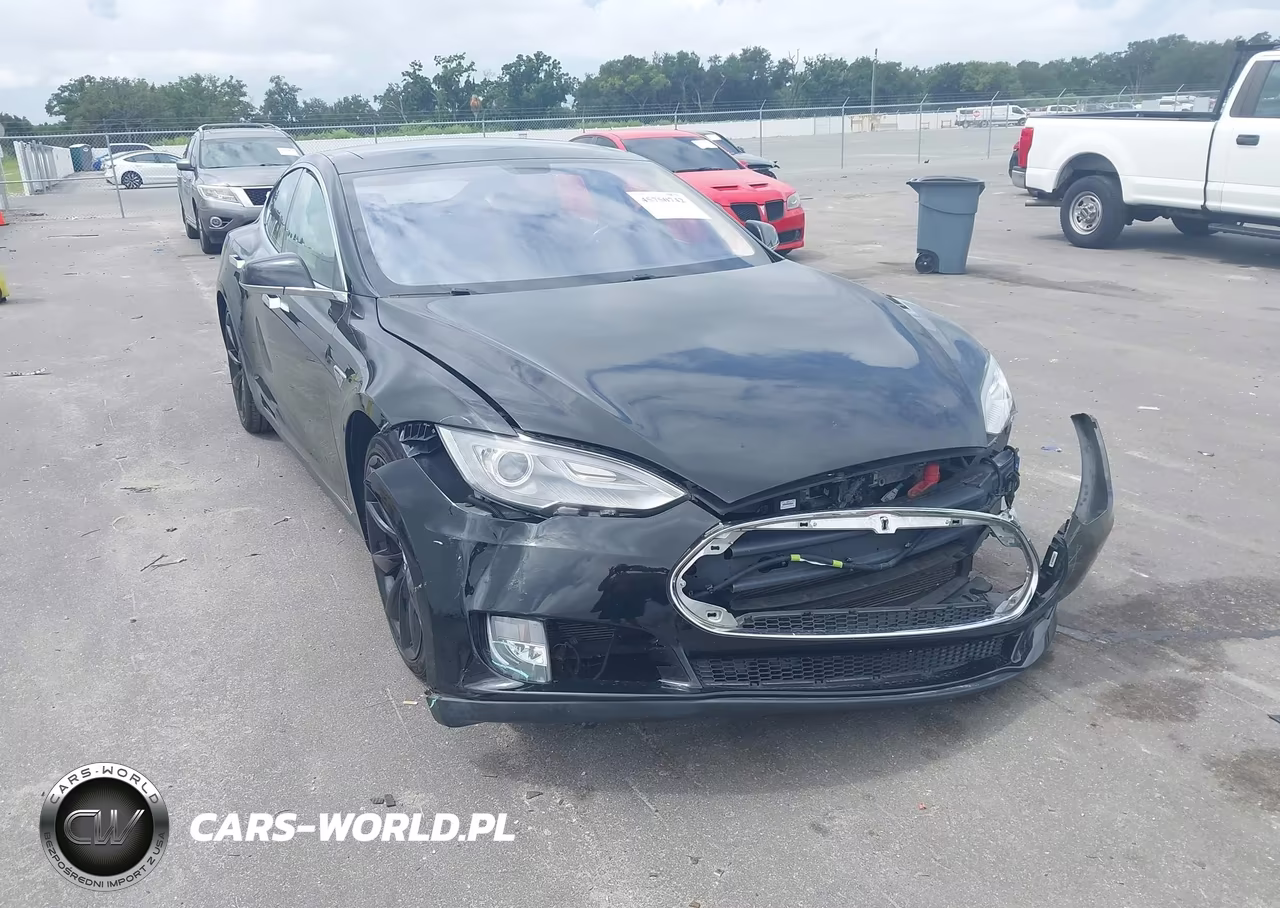 2013 Tesla Model S Performance VIN:5YJSA1CP2DFP16412 - 1