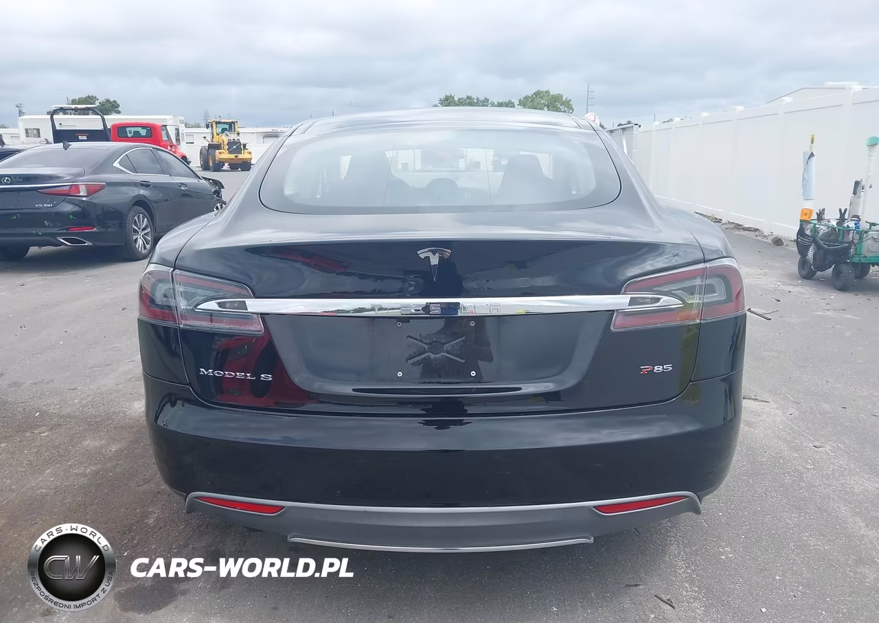 2013 Tesla Model S Performance VIN:5YJSA1CP2DFP16412 - 17