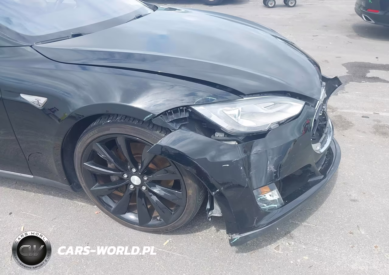 2013 Tesla Model S Performance VIN:5YJSA1CP2DFP16412 - 22