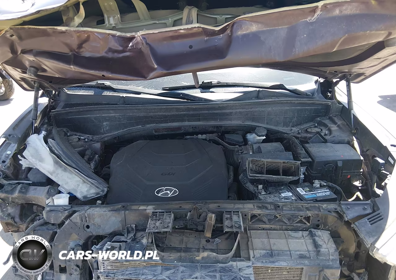 2020 Hyundai Palisade Sel VIN:KM8R2DHE6LU027589 - 10