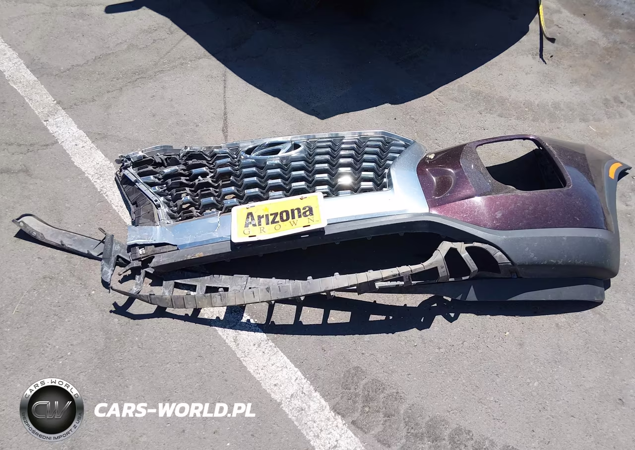 2020 Hyundai Palisade Sel VIN:KM8R2DHE6LU027589 - 12