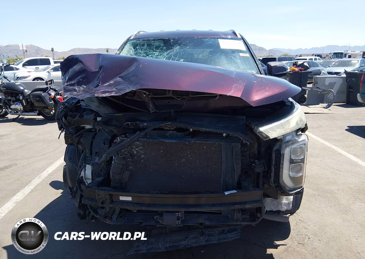 2020 Hyundai Palisade Sel VIN:KM8R2DHE6LU027589 - 13