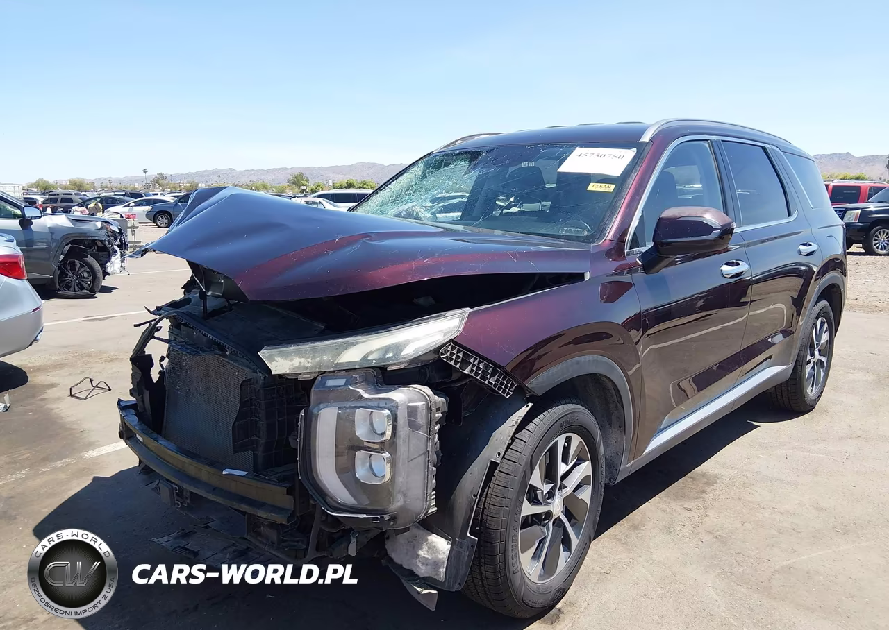 2020 Hyundai Palisade Sel VIN:KM8R2DHE6LU027589 - 2