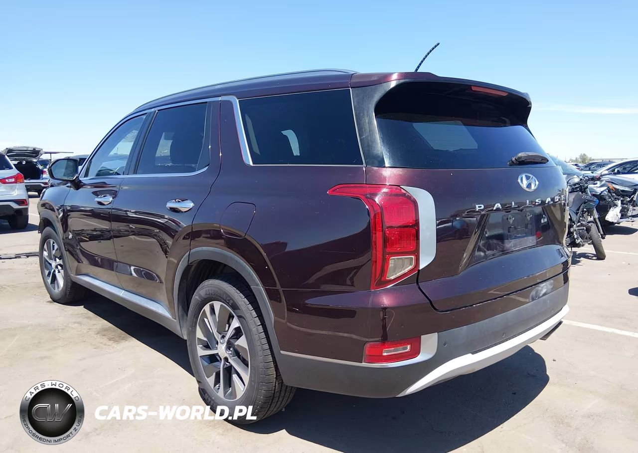 2020 Hyundai Palisade Sel VIN:KM8R2DHE6LU027589 - 3