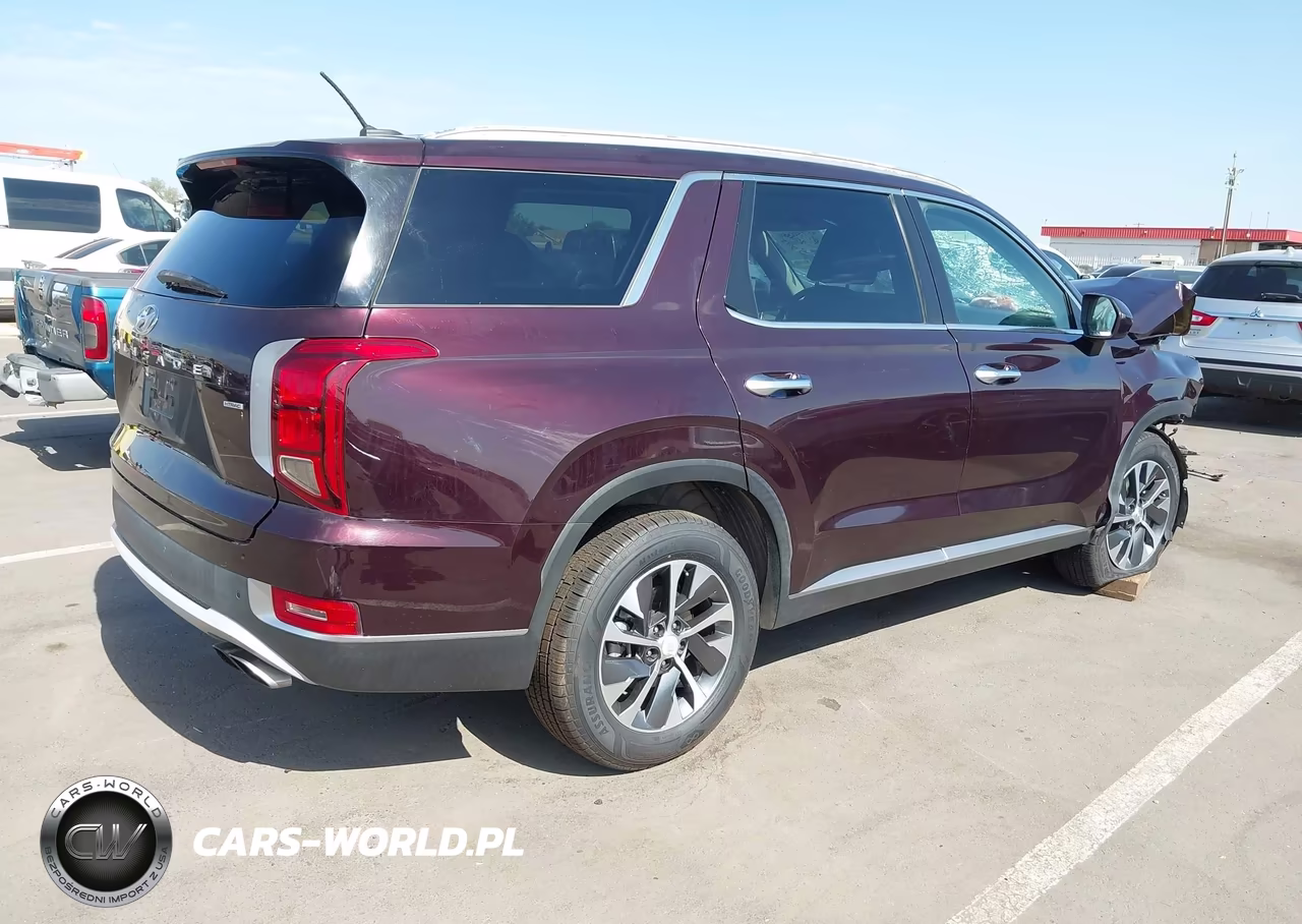 2020 Hyundai Palisade Sel VIN:KM8R2DHE6LU027589 - 4