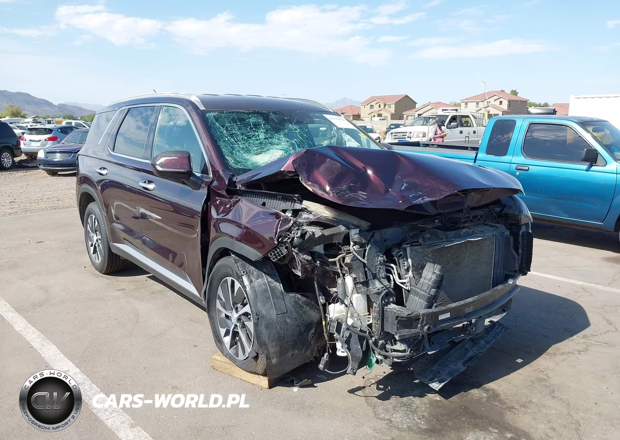 2020 Hyundai Palisade Sel VIN:KM8R2DHE6LU027589 - 6