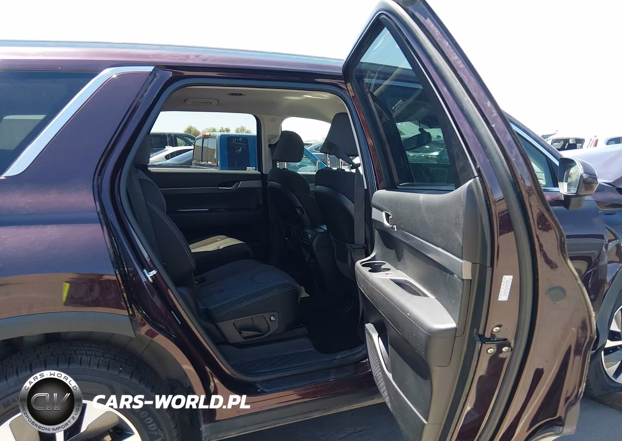 2020 Hyundai Palisade Sel VIN:KM8R2DHE6LU027589 - 8