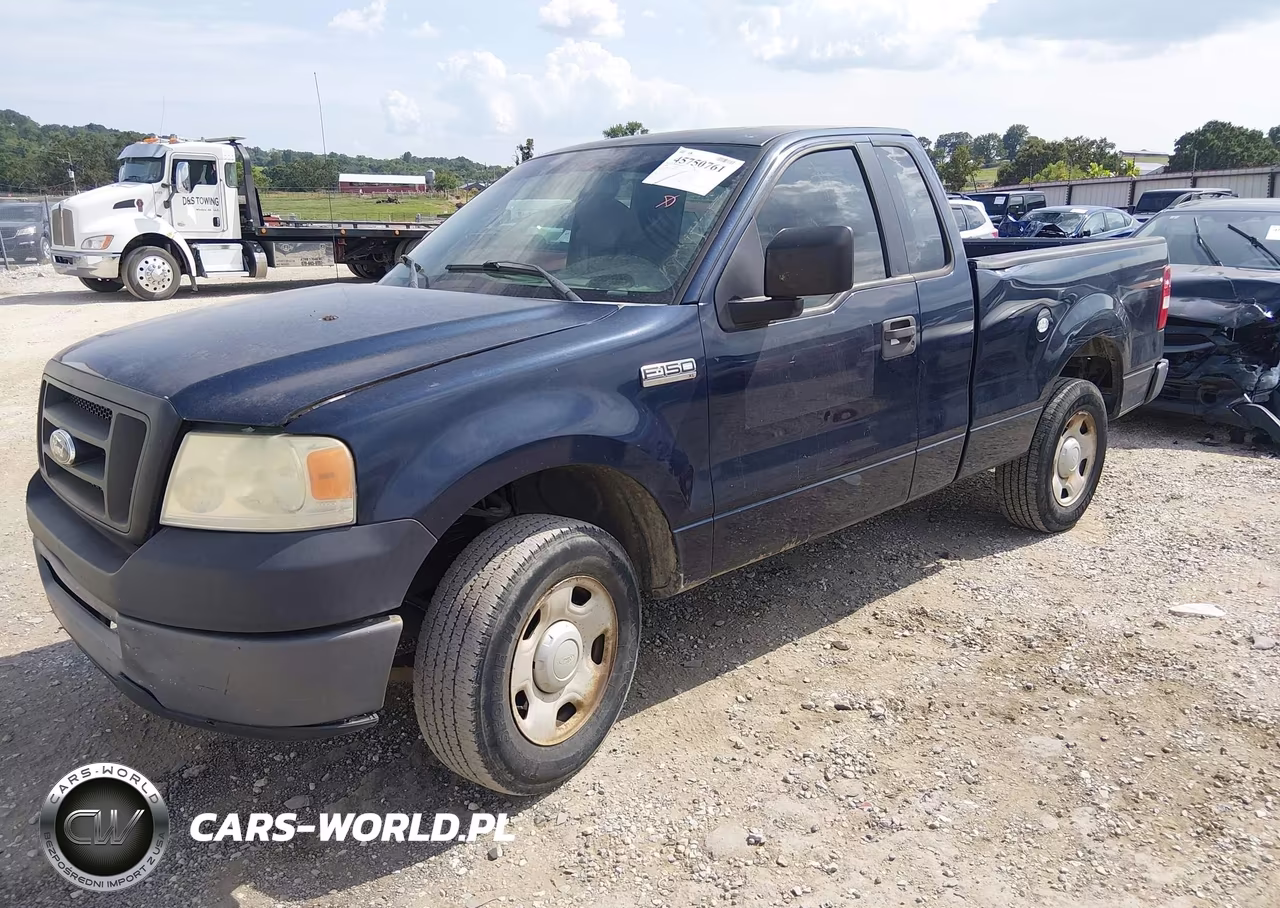 2006 Ford F-150 Stx-Xl-Xlt VIN:1FTRF12296NB74980 - 2