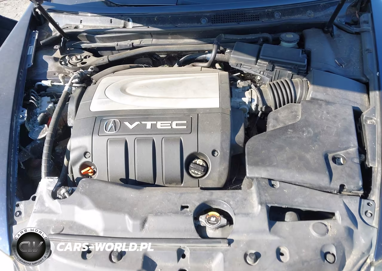 2007 Acura Rl 3.5 VIN:JH4KB16547C003843 - 10
