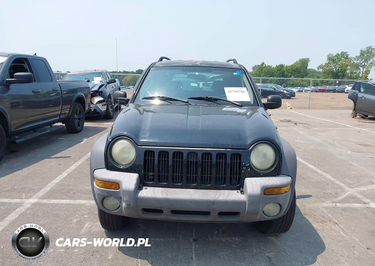 2004 Jeep Liberty Sport VIN:1J8GL48K94W318875 - 12