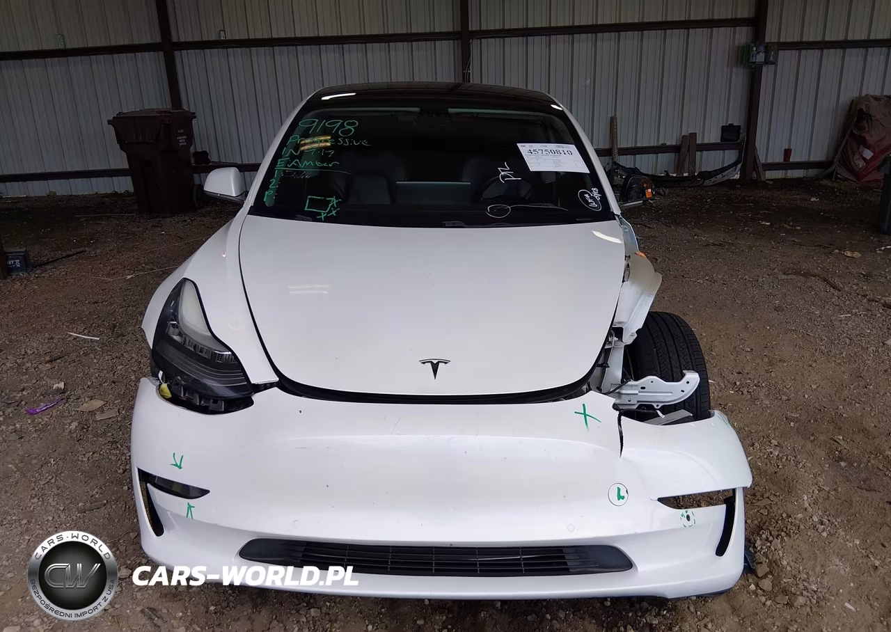 2019 Tesla Model 3 VIN:5YJ3E1EA7KF417657 - 12