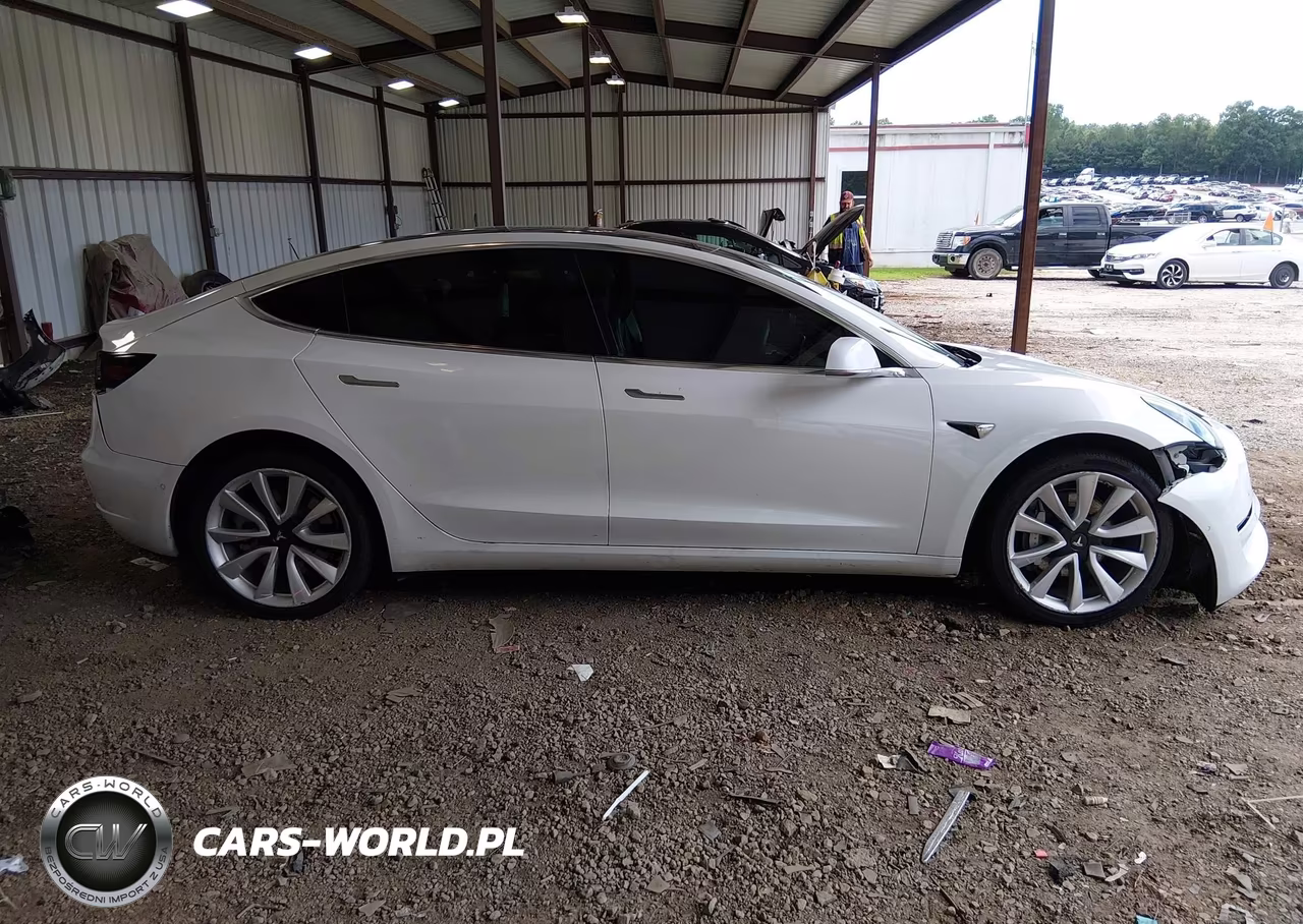 2019 Tesla Model 3 VIN:5YJ3E1EA7KF417657 - 13