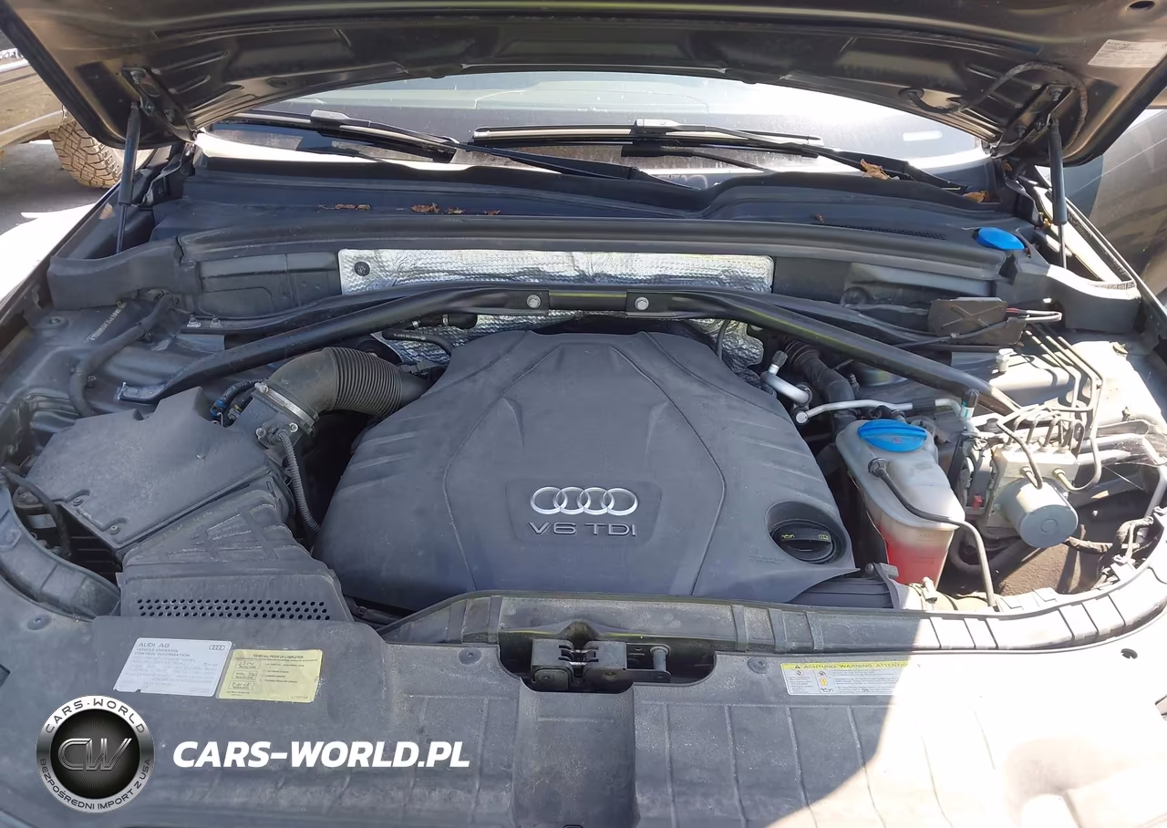 2014 Audi Q5 3.0 Tdi Premium Plus VIN:WA1WMAFP5EA098804 - 10