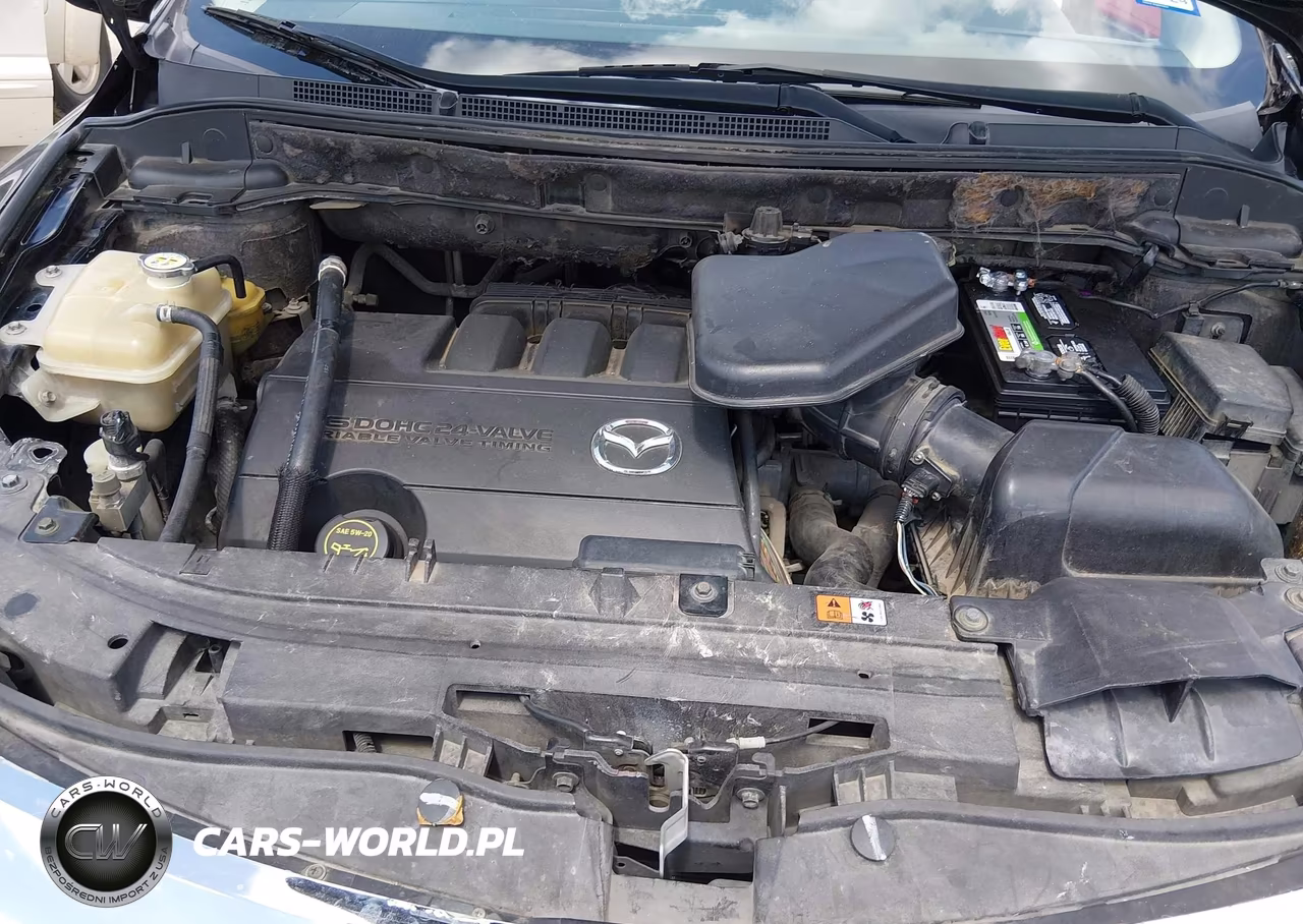 2010 Mazda Cx-9 Grand Touring VIN:JM3TB2MV6A0230207 - 10