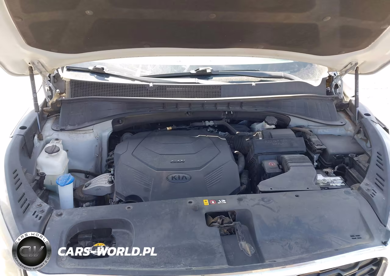 2020 Kia Sorento 3.3L Lx VIN:5XYPG4A51LG616445 - 10