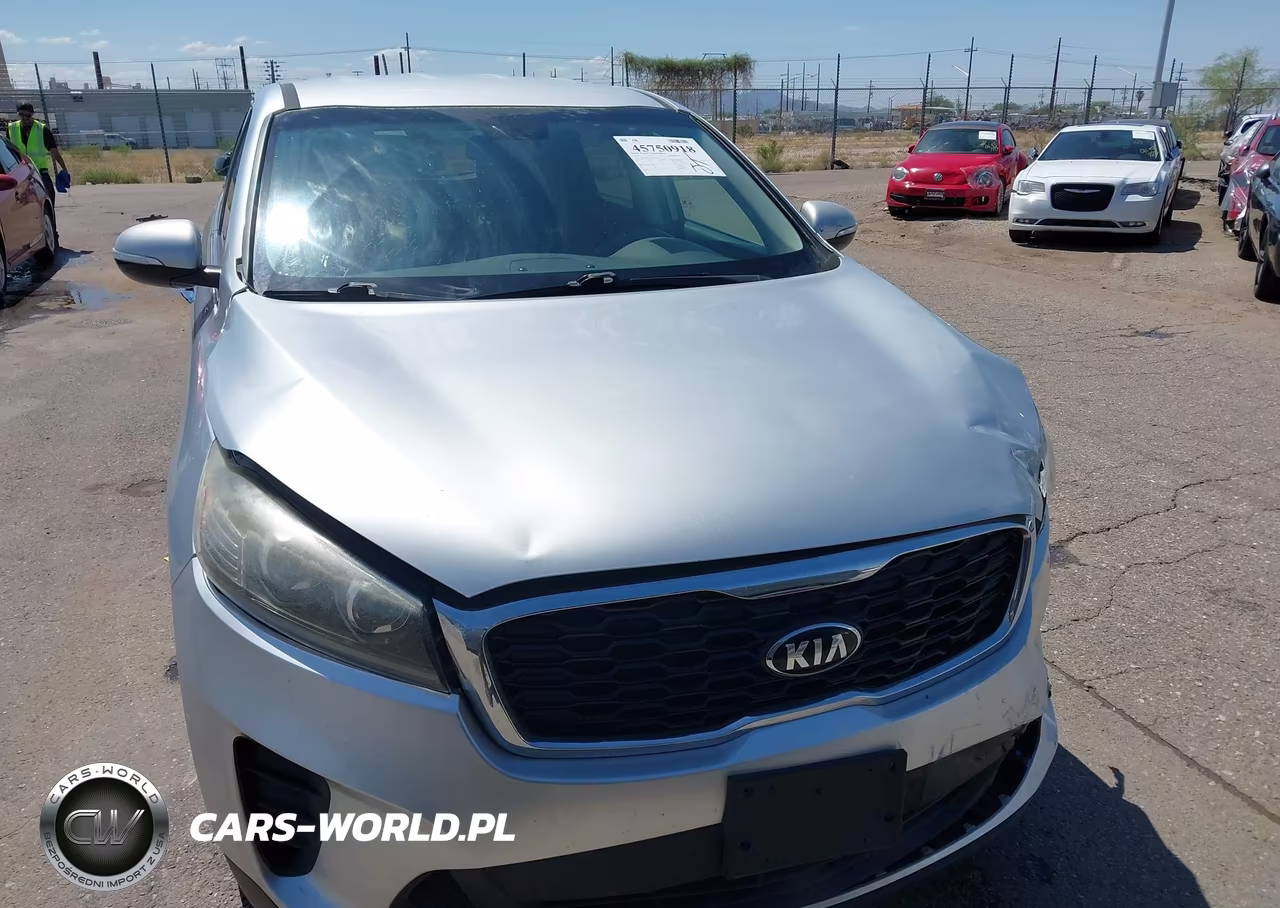 2020 Kia Sorento 3.3L Lx VIN:5XYPG4A51LG616445 - 12