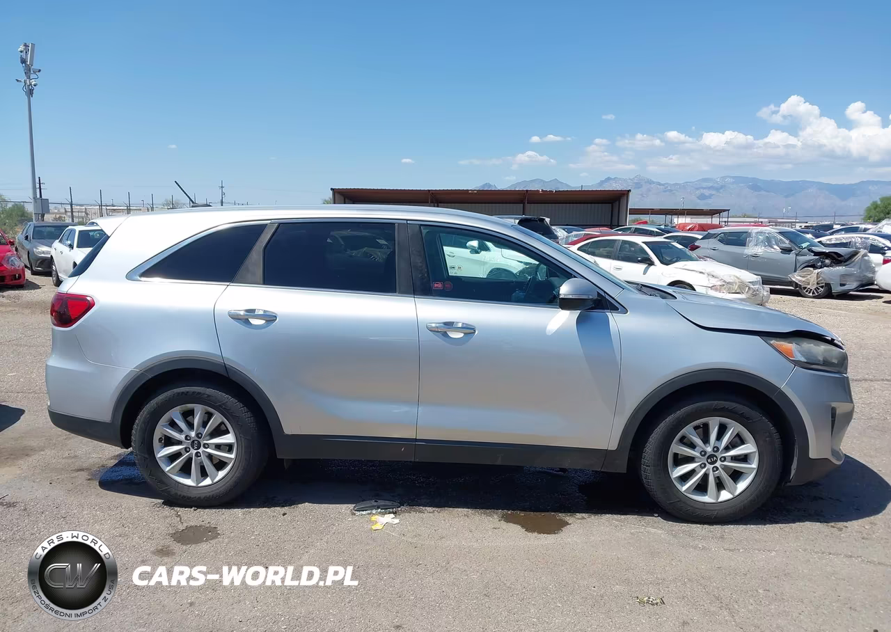 2020 Kia Sorento 3.3L Lx VIN:5XYPG4A51LG616445 - 13