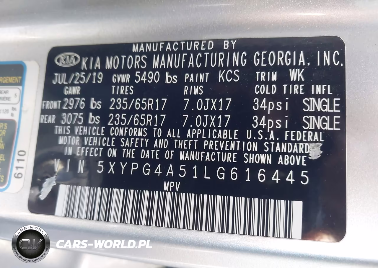 2020 Kia Sorento 3.3L Lx VIN:5XYPG4A51LG616445 - 9