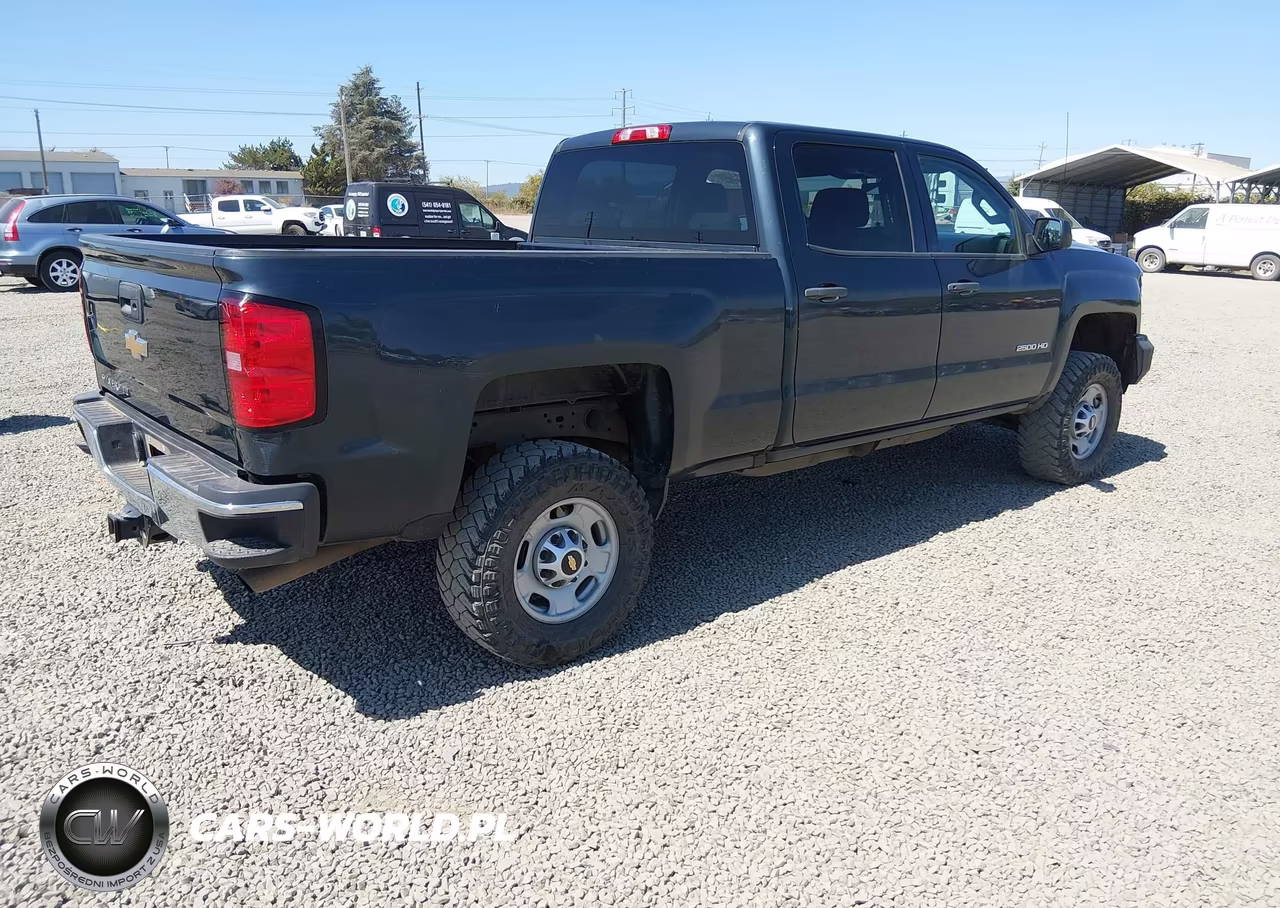 2017 Chevrolet Silverado 2500Hd Work Truck VIN:1GC1KUEG0HF227743 - 4