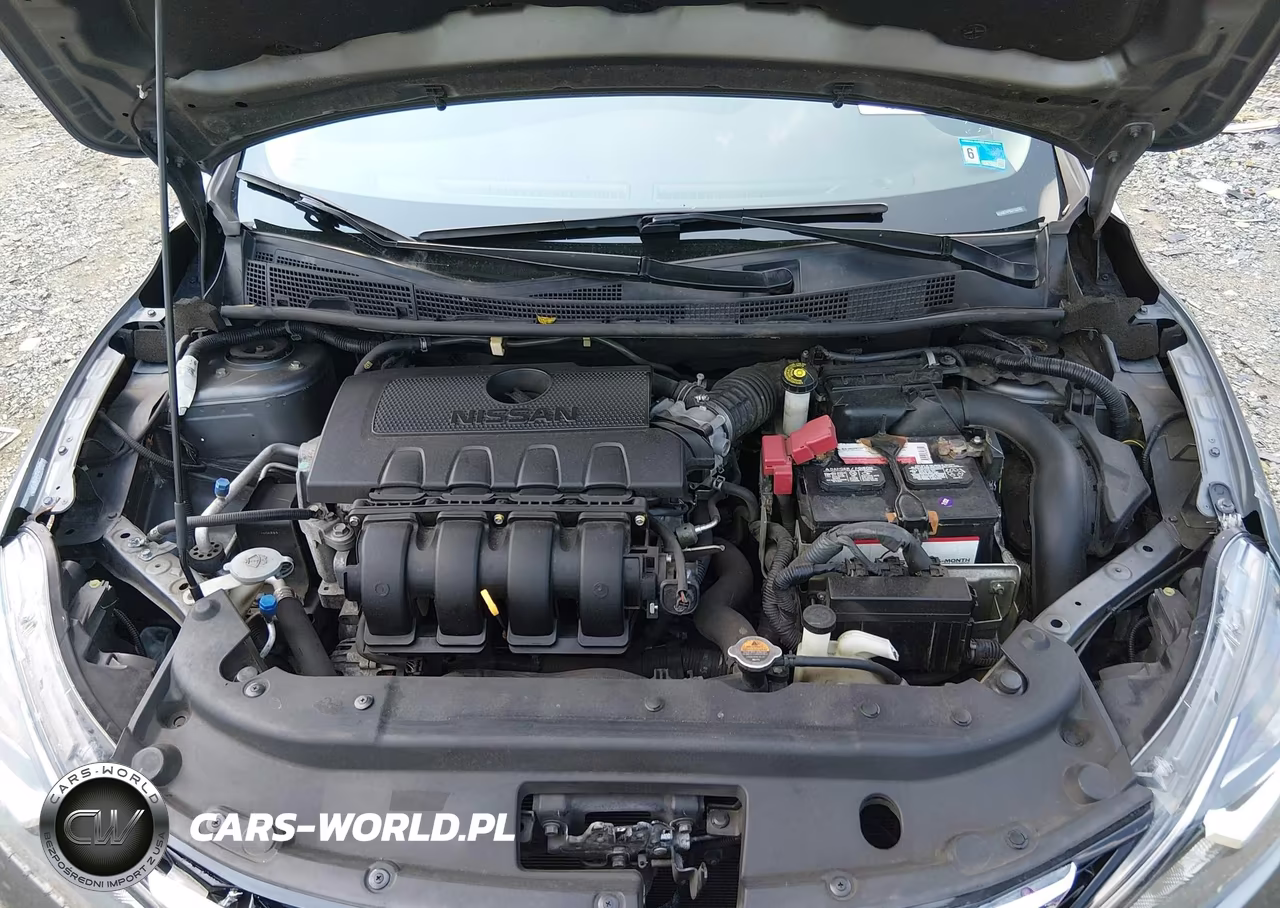 2016 Nissan Sentra S VIN:3N1AB7AP8GY333701 - 10