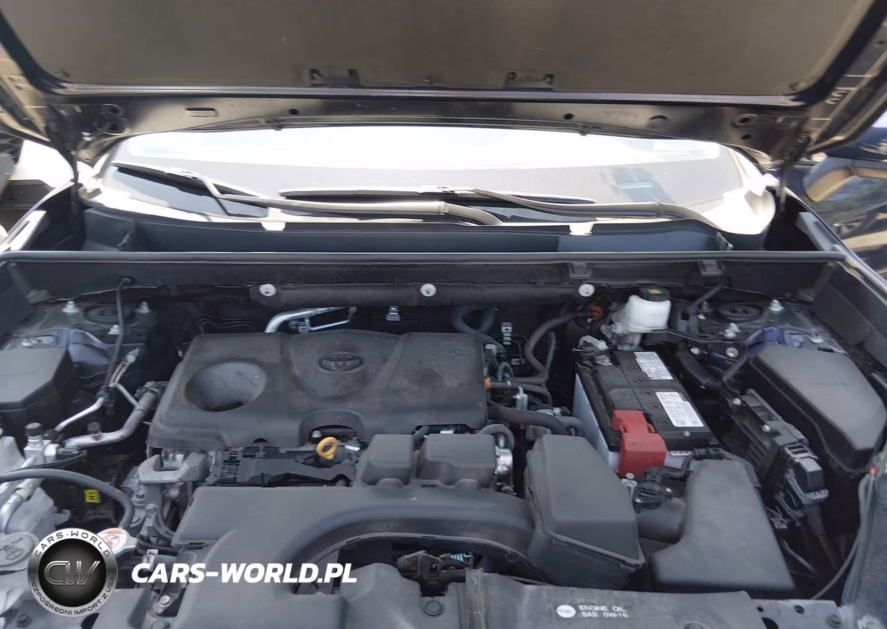 2023 Toyota Rav4 Xle VIN:2T3P1RFV4PW334606 - 10