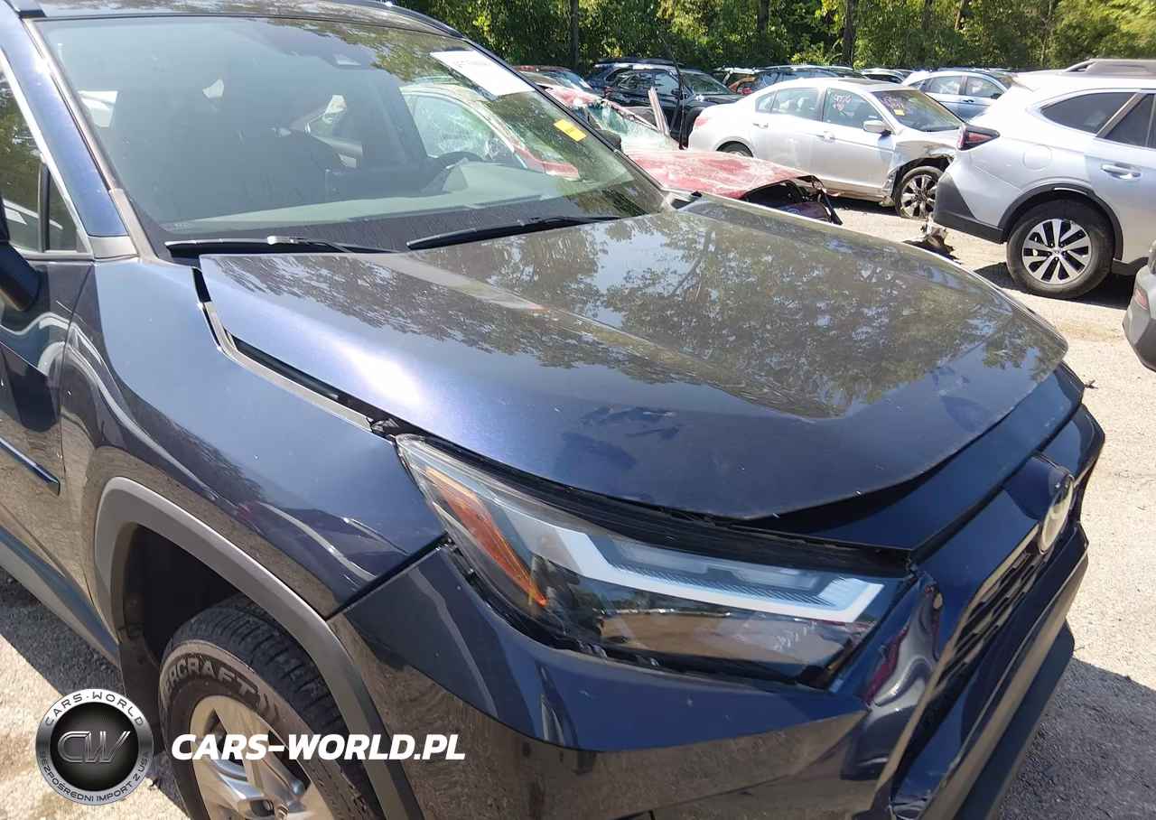 2023 Toyota Rav4 Xle VIN:2T3P1RFV4PW334606 - 6
