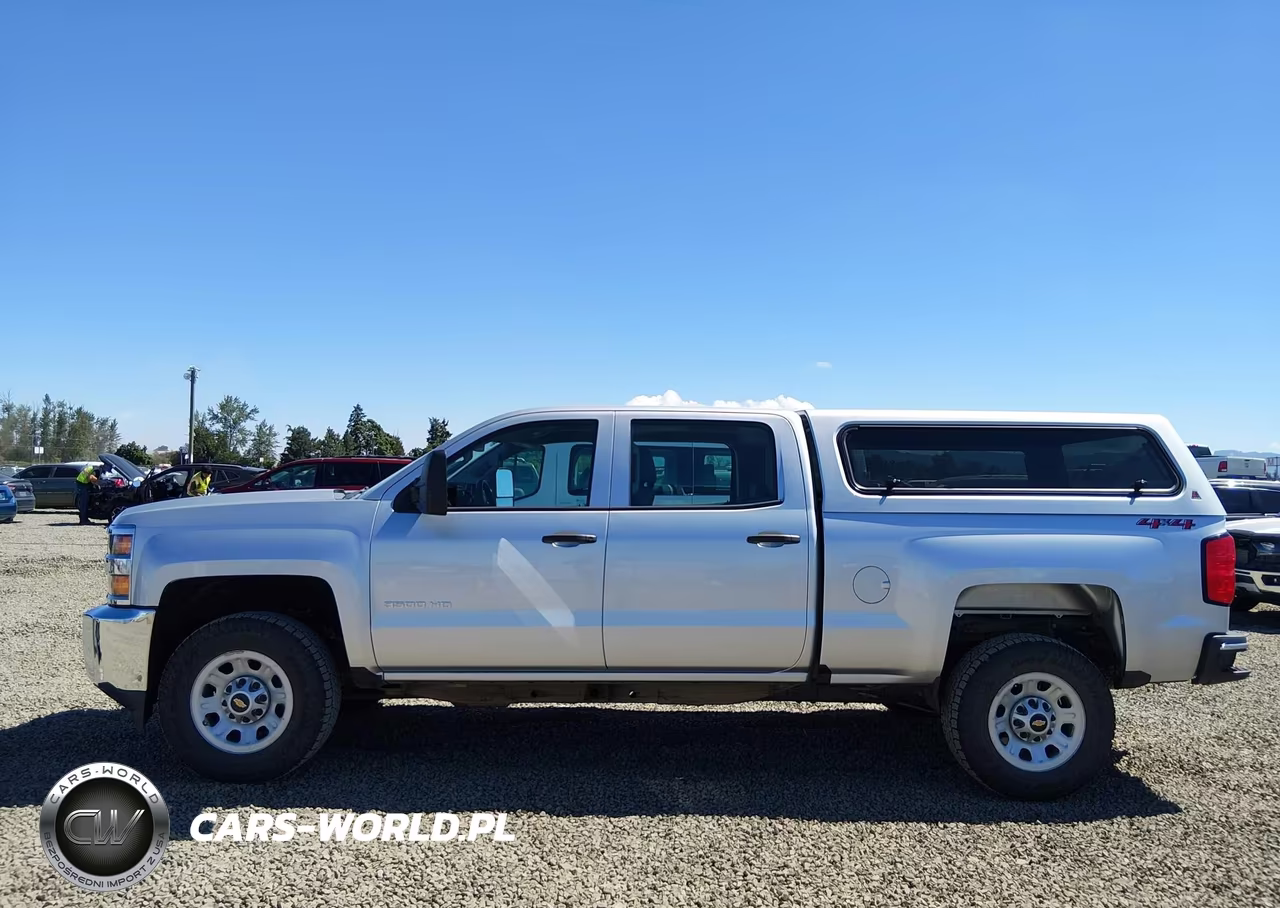 2018 Chevrolet Silverado 3500Hd Wt VIN:1GC4KYCG2JF274298 - 19