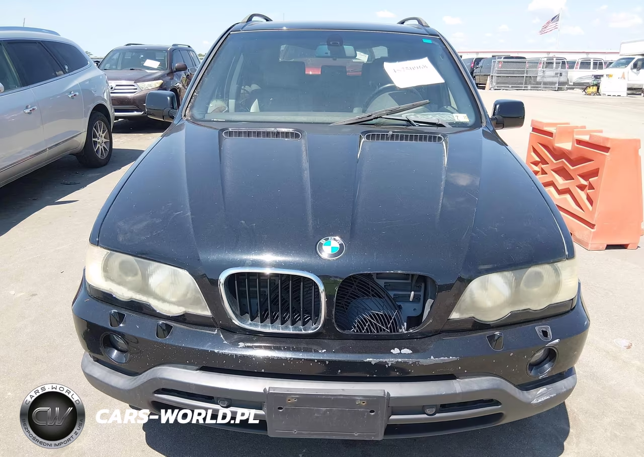 2003 BMW X5 3.0I VIN:5UXFA53583LV83446 - 12