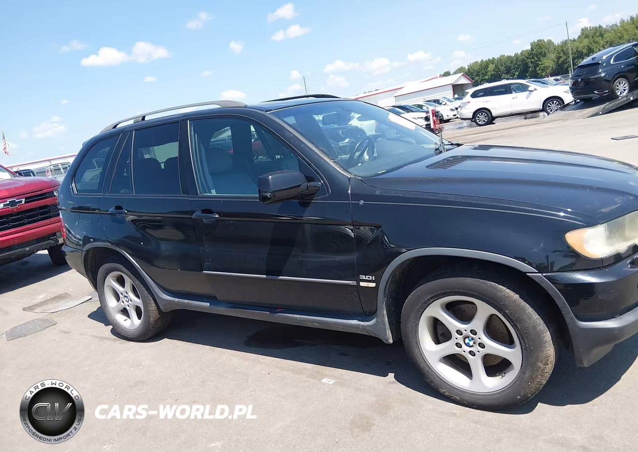 2003 BMW X5 3.0I VIN:5UXFA53583LV83446 - 13