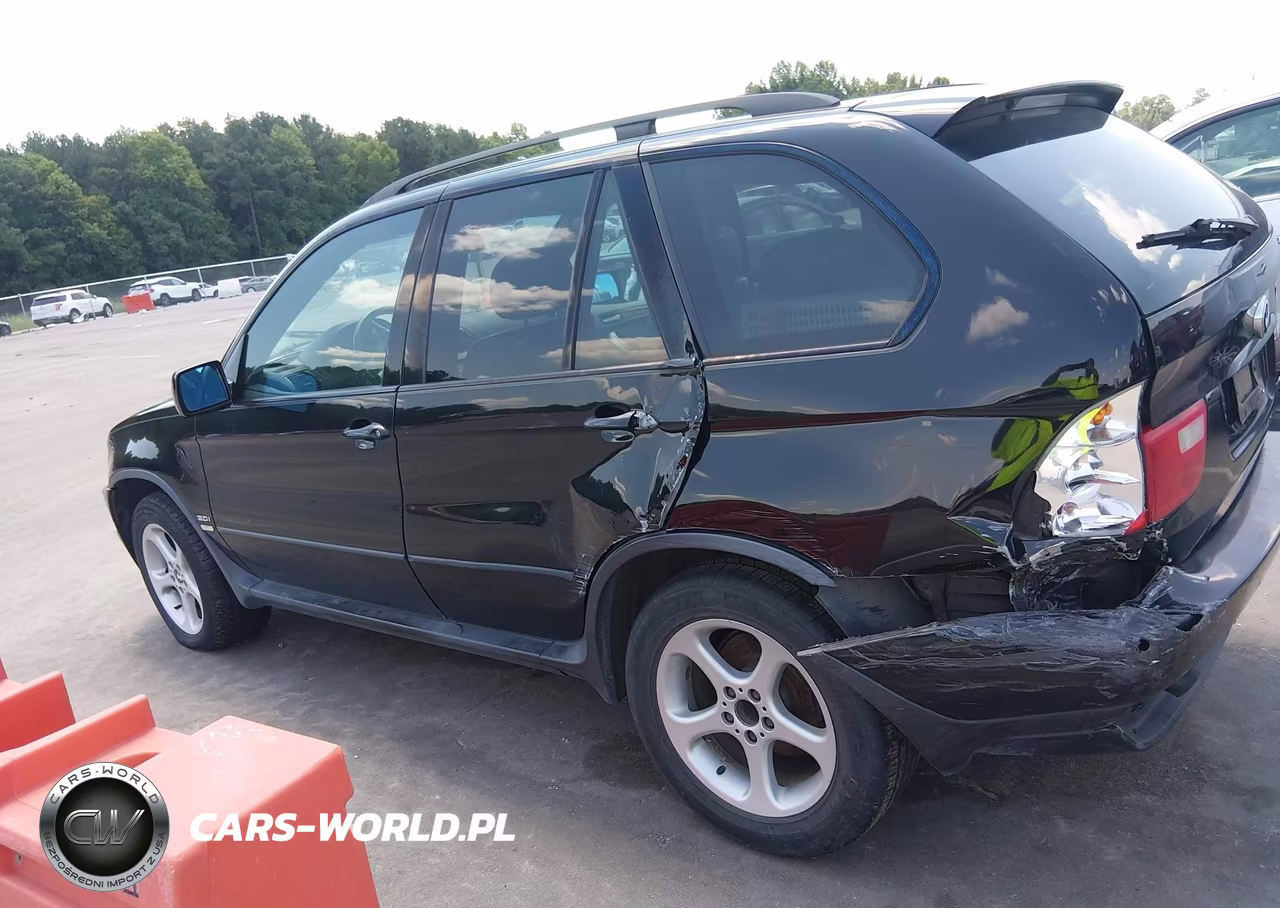 2003 BMW X5 3.0I VIN:5UXFA53583LV83446 - 14