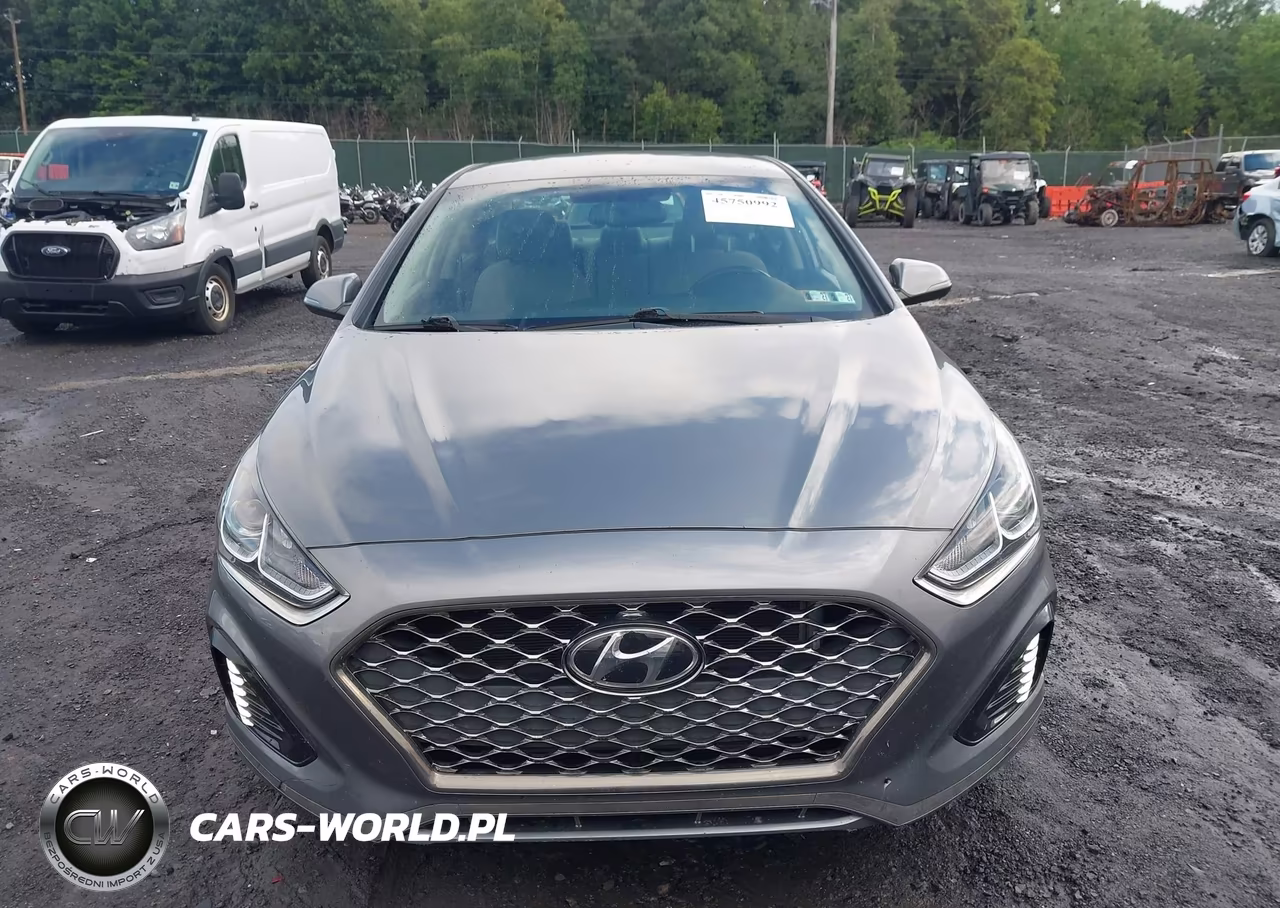 2019 Hyundai Sonata Sel VIN:5NPE34AF4KH767086 - 12