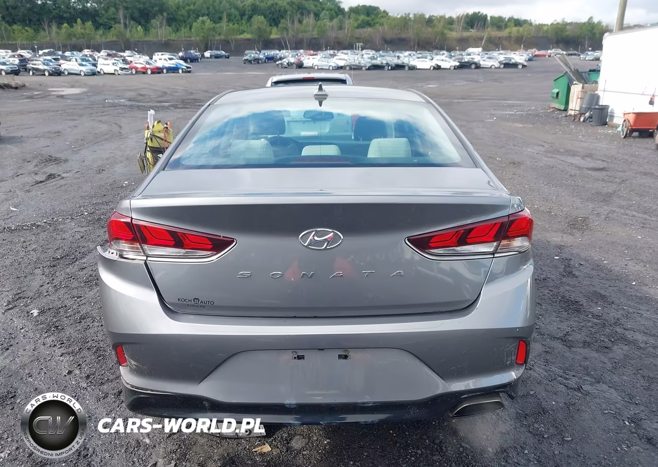 2019 Hyundai Sonata Sel VIN:5NPE34AF4KH767086 - 16