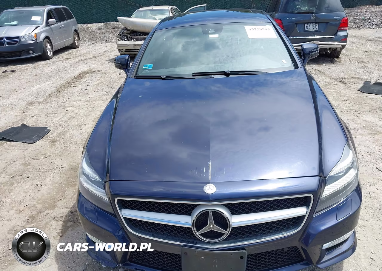 2014 Mercedes-Benz Cls 550 4Matic VIN:WDDLJ9BB9EA108847 - 12
