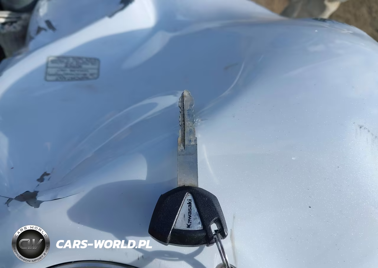 2013 Kawasaki Zx1000 H VIN:JKAZXCH14DA006704 - 11