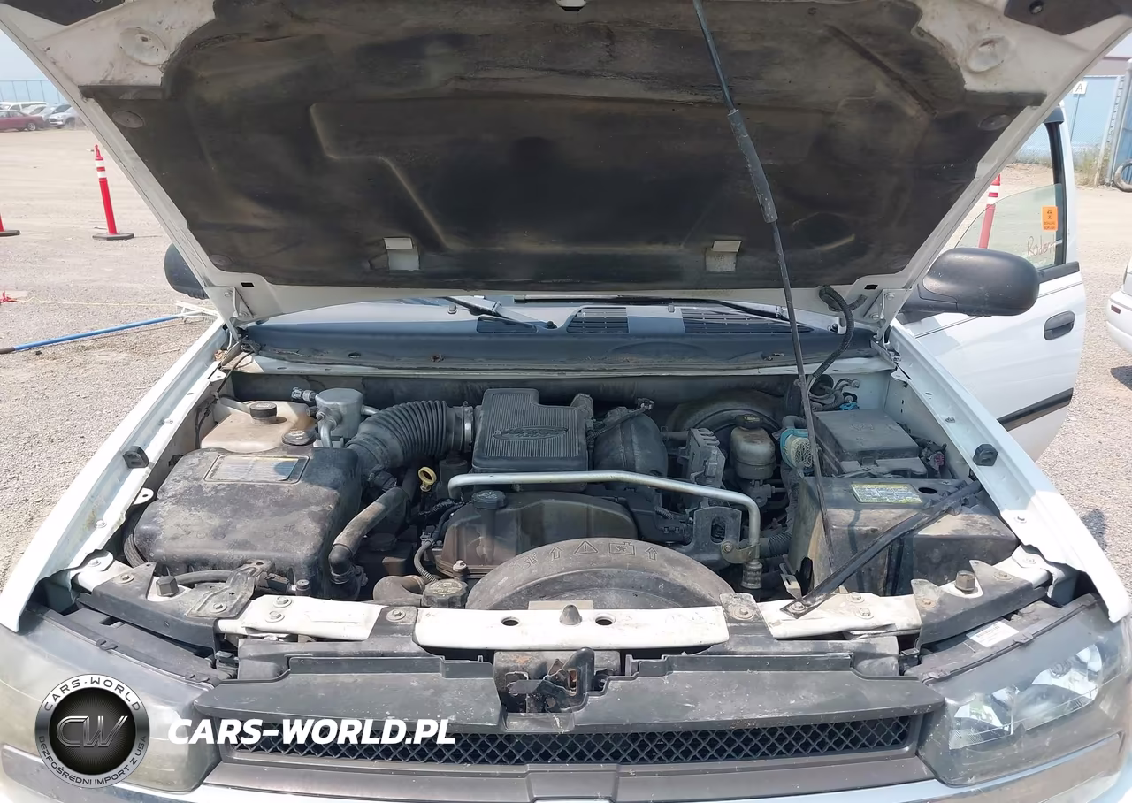 2008 Chevrolet Trailblazer Fleet VIN:1GNDT13S582232287 - 10
