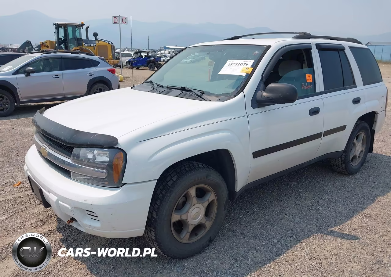 2008 Chevrolet Trailblazer Fleet VIN:1GNDT13S582232287 - 2