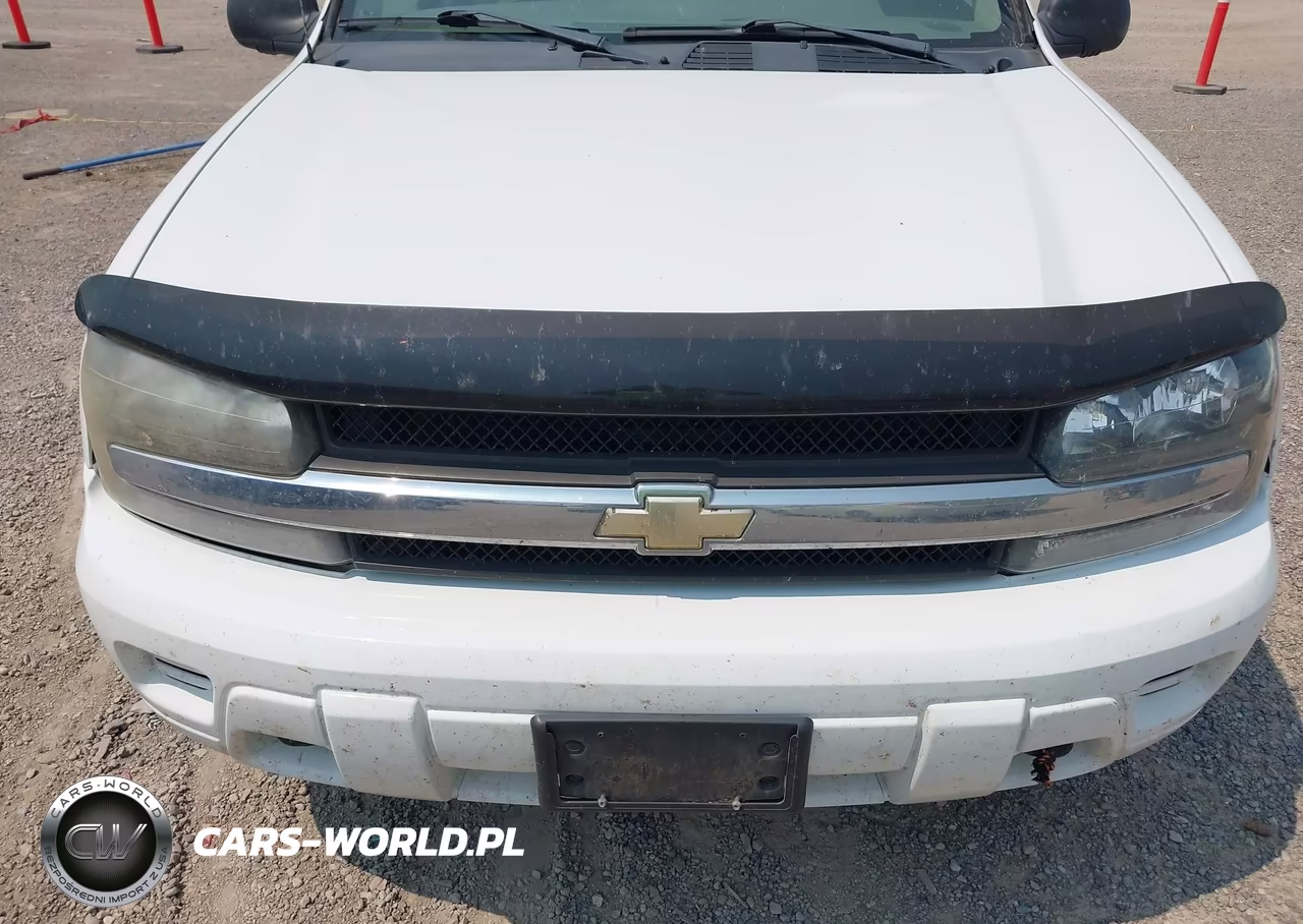 2008 Chevrolet Trailblazer Fleet VIN:1GNDT13S582232287 - 6