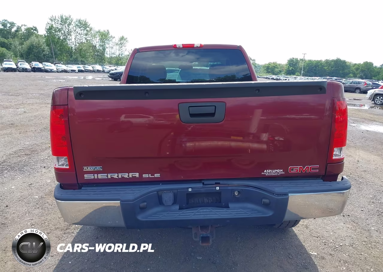 2009 GMC Sierra 1500 Sle VIN:1GTEK29039Z176788 - 16
