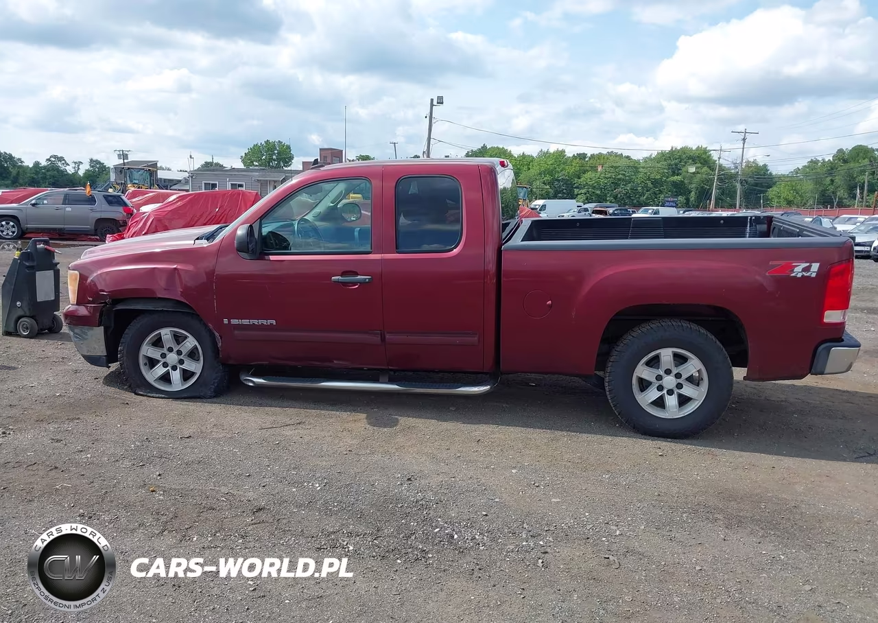 2009 GMC Sierra 1500 Sle VIN:1GTEK29039Z176788 - 17