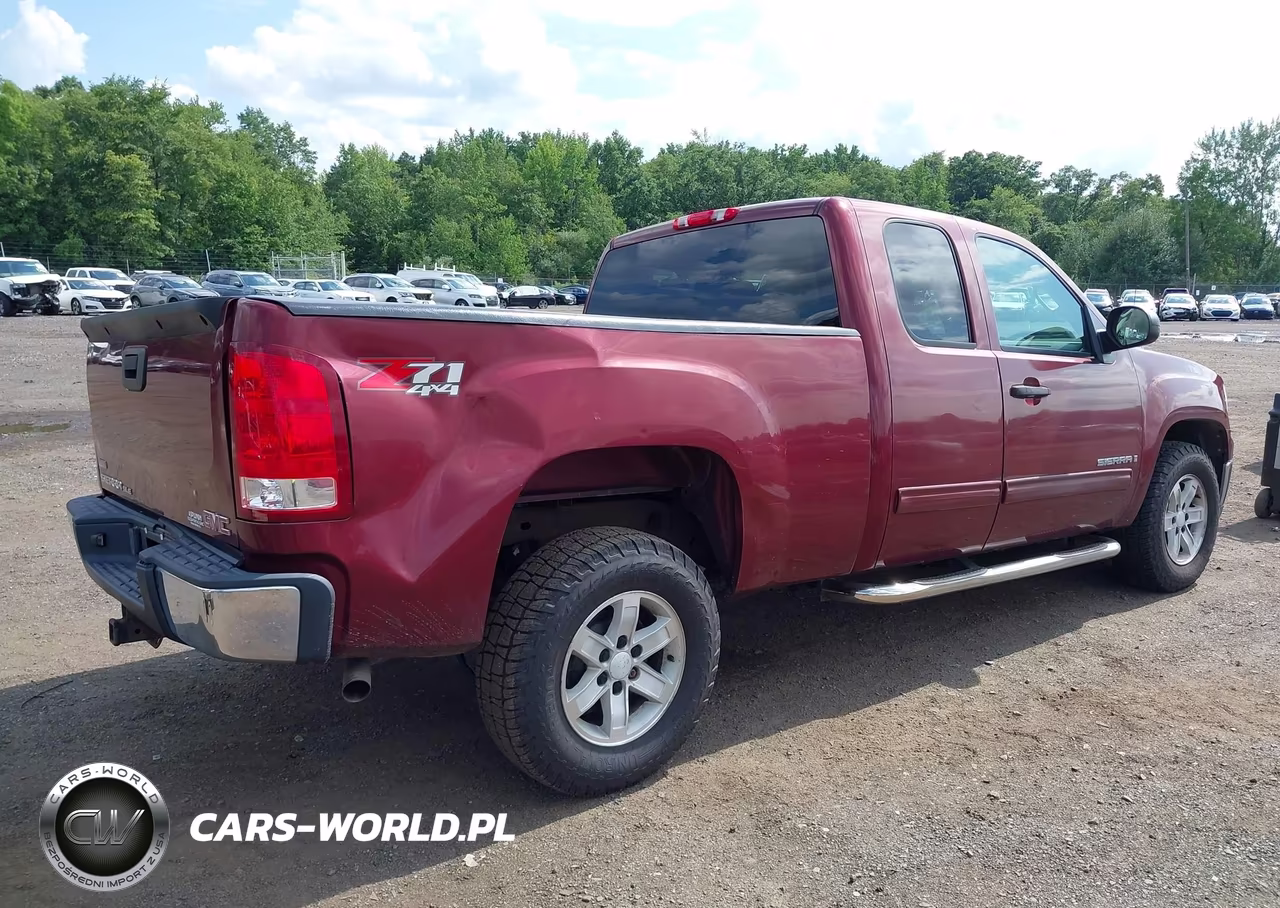 2009 GMC Sierra 1500 Sle VIN:1GTEK29039Z176788 - 18