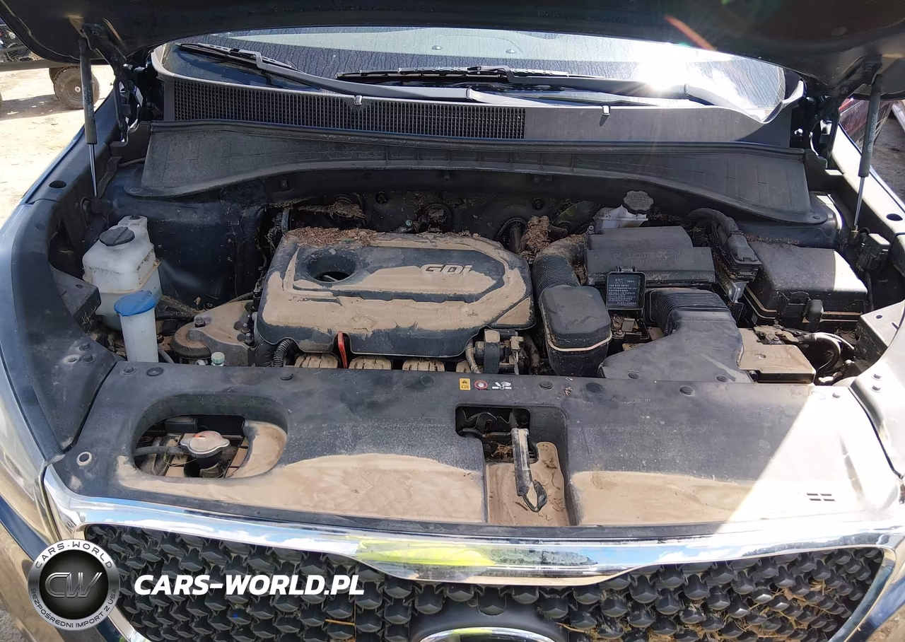 2017 Kia Sorento 2.4L Lx VIN:5XYPG4A34HG211864 - 10