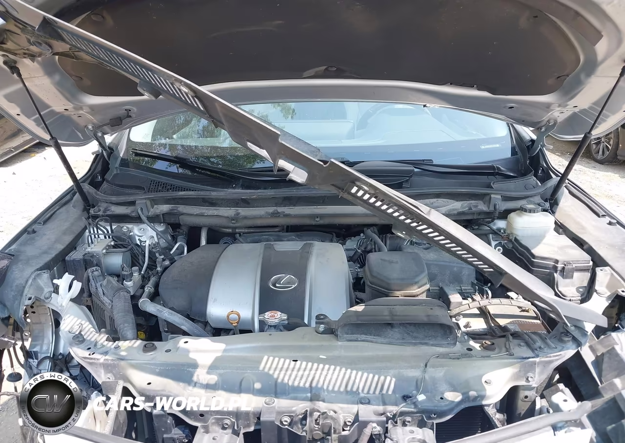 2019 Lexus Rx 350 VIN:2T2BZMCA8KC178043 - 10