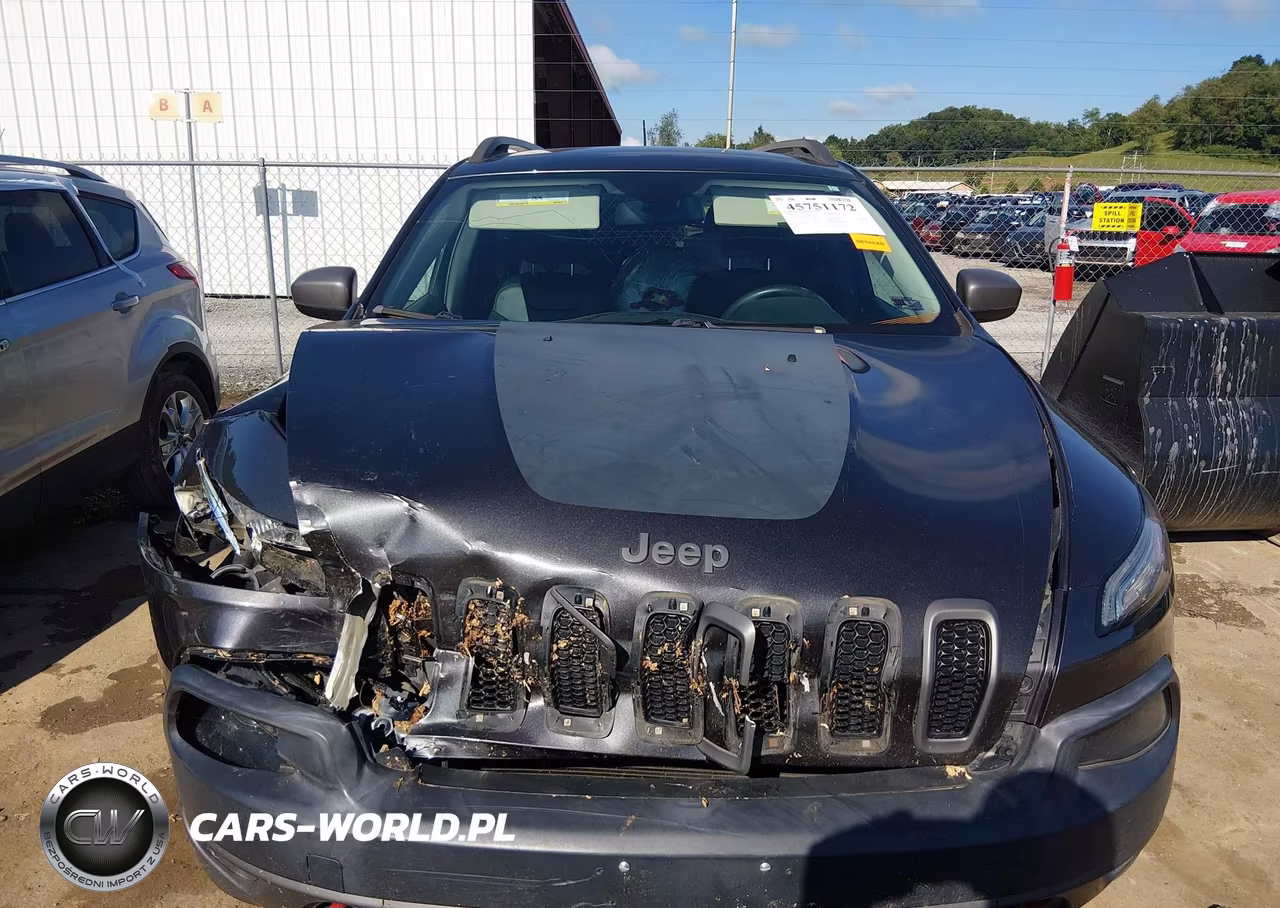 2014 Jeep Cherokee VIN:1C4PJMBS3EW309483 - 12
