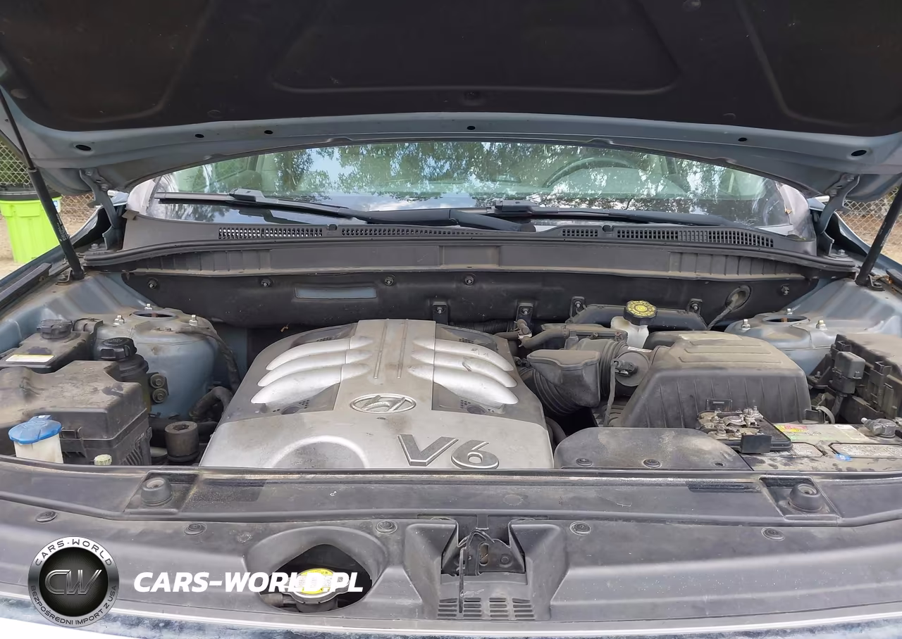 2007 Hyundai Veracruz Gls-Limited-Se VIN:KM8NU13C87U023479 - 10