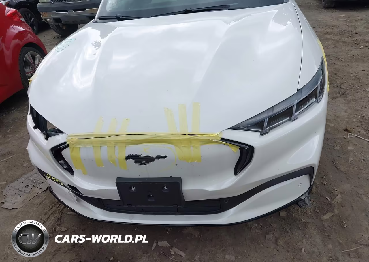 2024 Ford Mustang Mach-E Premium VIN:3FMTK3SU4RMA12005 - 12
