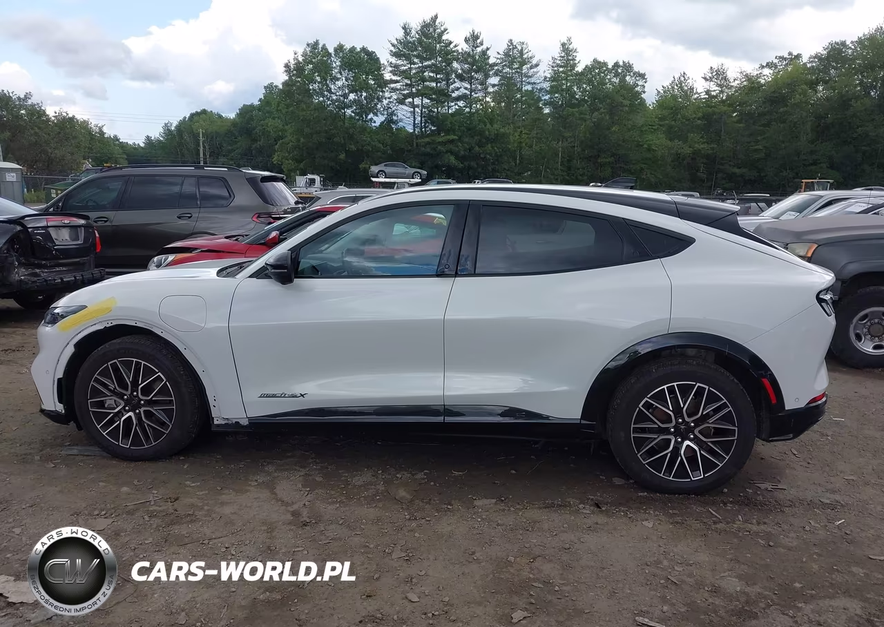 2024 Ford Mustang Mach-E Premium VIN:3FMTK3SU4RMA12005 - 14