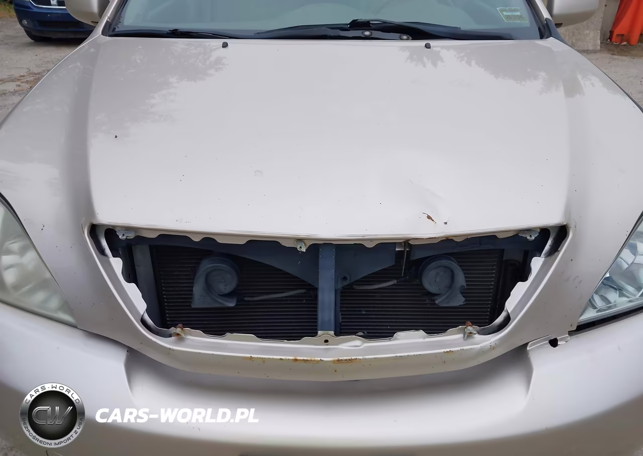 2004 Lexus Rx 330 VIN:2T2HA31U94C039583 - 6